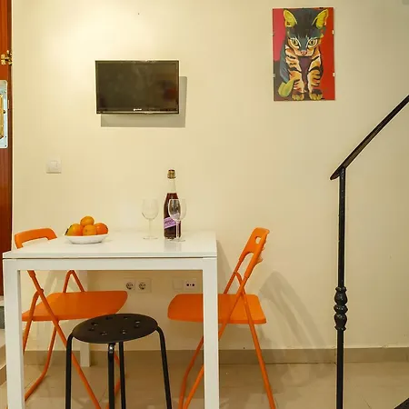 Estudio Del Escritor Cadiz